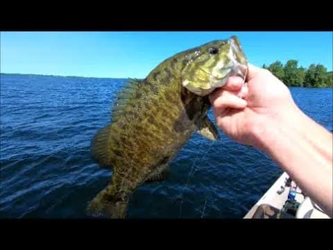 Smallmouth Bass Fishing Chaumont Bay NY