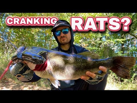 The Cranking RAT BITE!? Does it Exist? Featuring Studio Composite RATMAN and LOW DOWN CUSTOMS MH!