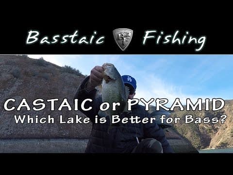 Castaic or Pyramid Lake .. which is better for winter largemouth bass fishing?