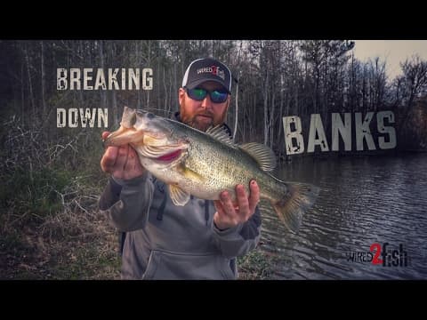 Tested Bank Fishing Tips for Catching Bass