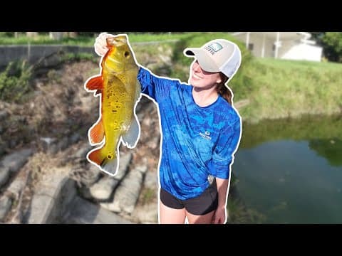 Easiest way to catch Peacock Bass in Miami, Florida!