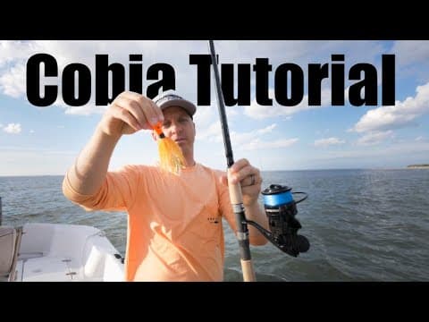 How to Catch Cobia Full Tutorial - Live Bait, Eels, and Bucktails