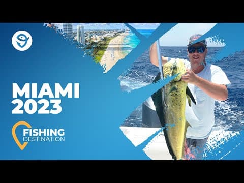 Miami Fishing 2022: Your Ultimate Guide Revisited | FishingBooker
