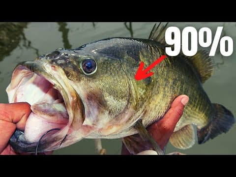 90% of BASS FISHING in 15 Minutes