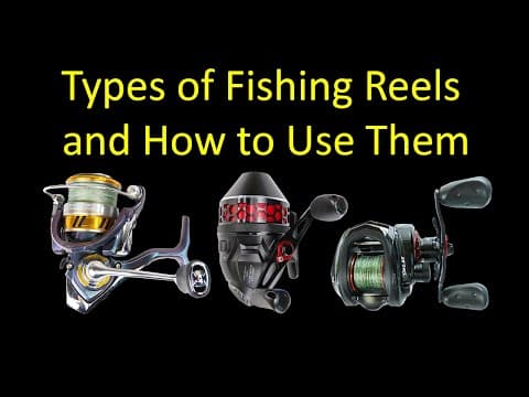 3 Types of Fishing Reels and How to Use Them for Beginners - Spinning vs. Spincast vs. Baitcasting