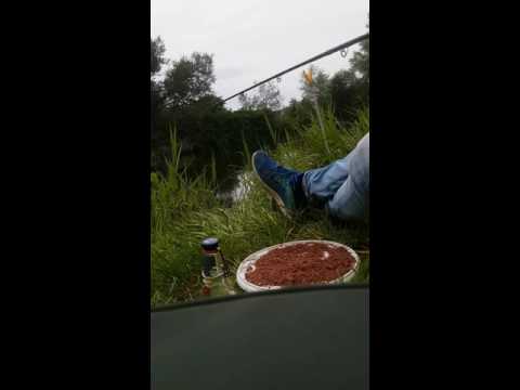 10 Köder Fische in 26 Sekunden!!!!🤓