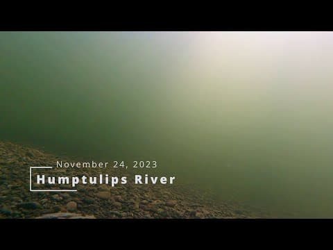 Soothing View Under the Humptulips River, November 23rd, 2023 #chill