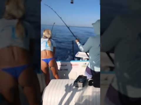 How to Catch Mahi Deep Sea Trolling! Everything you need to know