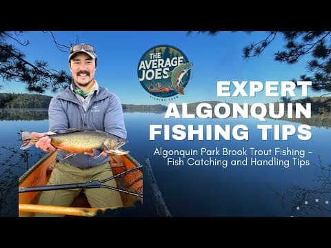 Taking a Trout Expert Fishing in Algonquin Park - Brook Trout Tips