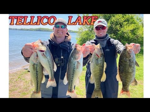 Tellico Lake Bass Fishing April 12, 2025