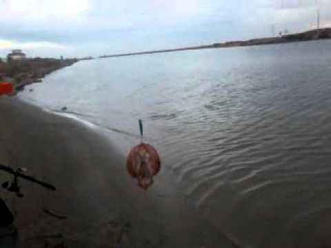pesca a spinning en guardamar una manta (grupo AMS)