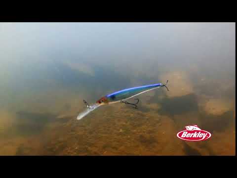 Berkley Flicker Minnow Action: Underwater Close Up