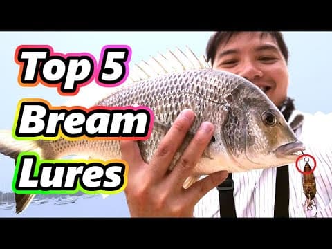 TOP 5 LURES FOR BREAM!