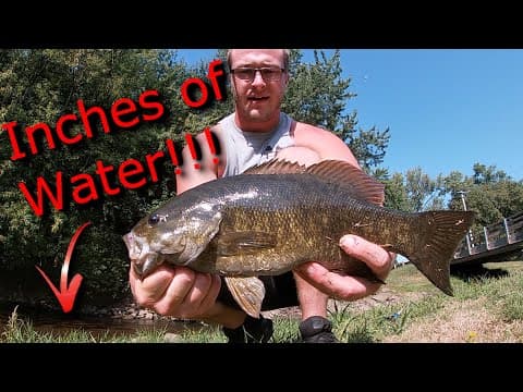 Rock River Bass and Pike Fishing - Tons of Action