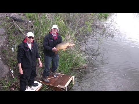 Carp Fishing from Shore - How to Catch Carp Using a Bolt Rig