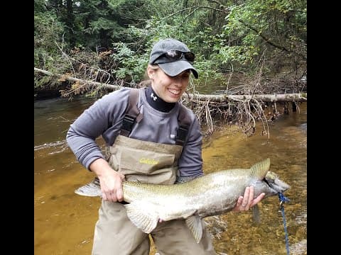 Woman fights and lands a Big King Salmon on a fly rod