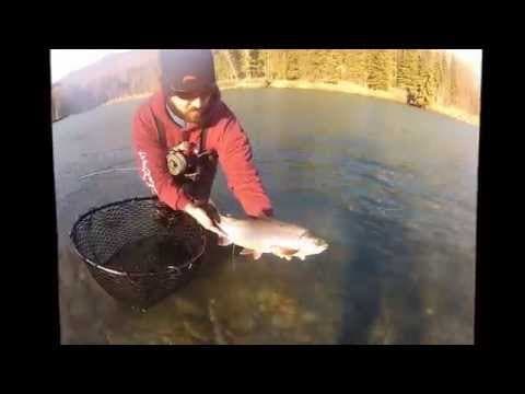Fall Kenai Bow.wmv