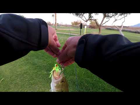 Imperial Valley Fishing