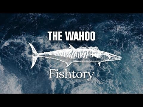 Catching Wahoo: Everything You Need To Know | Fishtory