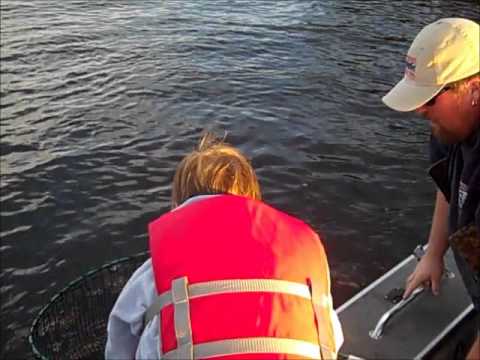 Mylie&#39;s Place Resort Fall Muskie Fishing on Lake of the Woods