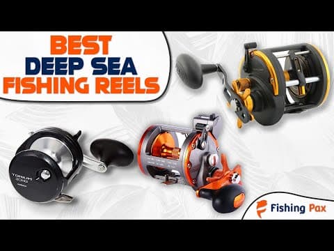 Best Deep Sea Fishing Reels