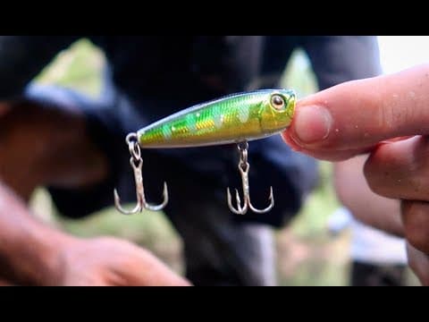 FRESH WATER FISHING FOR AUSTRALIAN BASS!