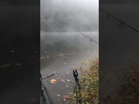 RIVER LOT FRANCE CARPING