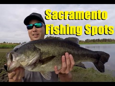 How to find fishing spots in Sacramento #BassFishing #SacramentoFishing #SacramentoPondFishing