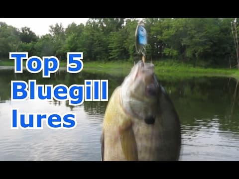 Best 5 Lures for Bluegill and Panfish - Tips and Techniques