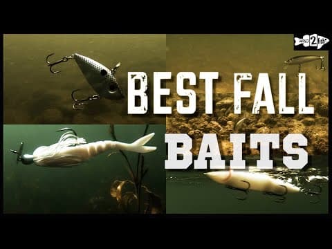 5 BEST BAITFISH BASS LURES for Fall Bass Fishing