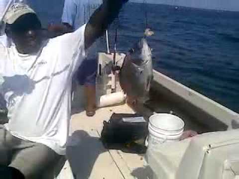 That&#39;s a big scup!