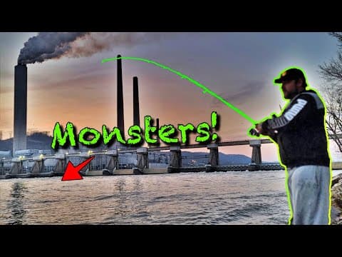 GIANT Walleye live in the Ohio River! (Most Insane Bite Ever!!)