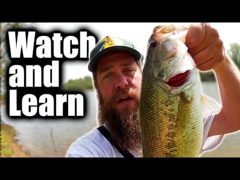 How To Fish a Texas Rig From the Bank (Beginner Bass Fishing Tips)