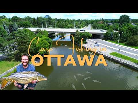 Fishing the urban jungle of Ottawa