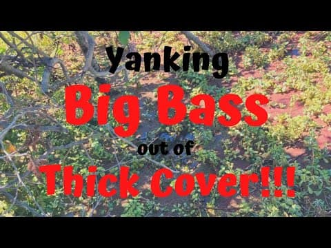 Spring Fishing Yanking Pre Spawn Big Bass Out A Little Creek in Thick Cover!!!