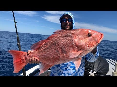 How To Catch Big Red Snapper Like A PRO