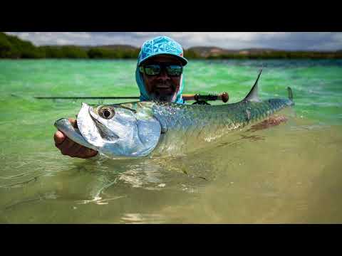 Fly Fishing Puerto Rico; EPIC opportunities for Tarpon and Permit