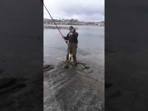 Norway Cod Sea Fishing