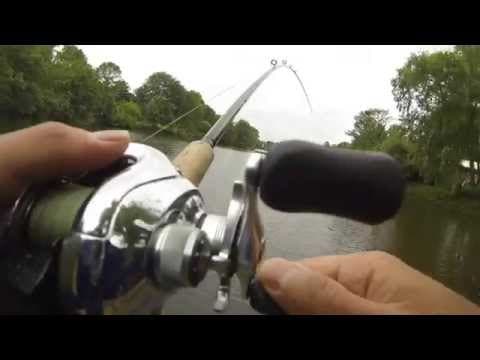 Senko/Topwater/Jig Fishing at an Interesting Lake!