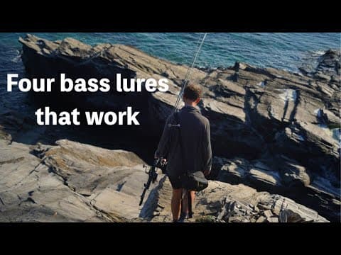 The only four bass lures you'll ever need - UK anglers guide