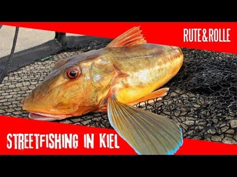 RUTE&amp;ROLLE: Streetfishing in Kiel auf Heringe / Plattfische / Meerforellen / Dorsch / Spinnfischen