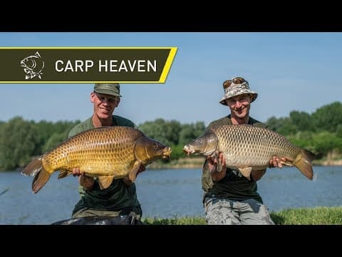 Carp Heaven - Catch Carp Hungary