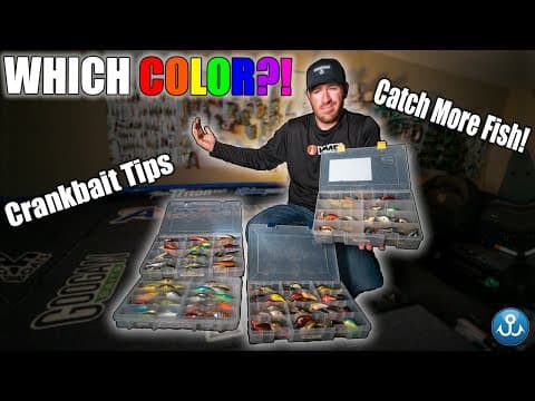 Fishing Hacks: The BEST Crankbait Colors (EXPLAINED)