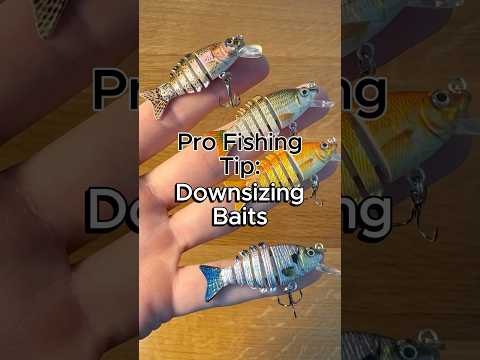 DOWNSIZE Baits to Catch More Fish #fishing #fishingtips #bassfishing