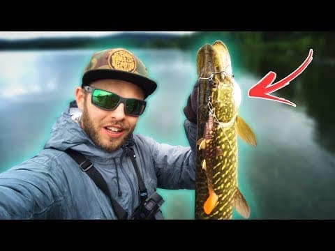 4 Tips for PIKE FISHING from the Shore 🐊