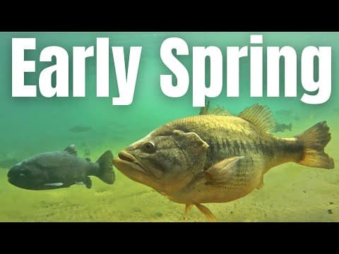 EARLY SPRING Bass Fishing COMPLETE GUIDE (How To Locate Prespawn Bass)