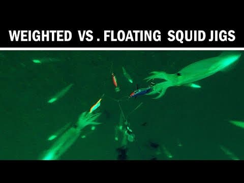 How Squid React To Weighted vs Floating Jigs (Underwater Squid Fishing)