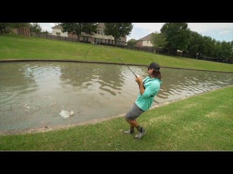 How to Catch a Fish (the easy way)