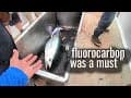 Bluefin Tuna Tip | Fishing Line Recommendation