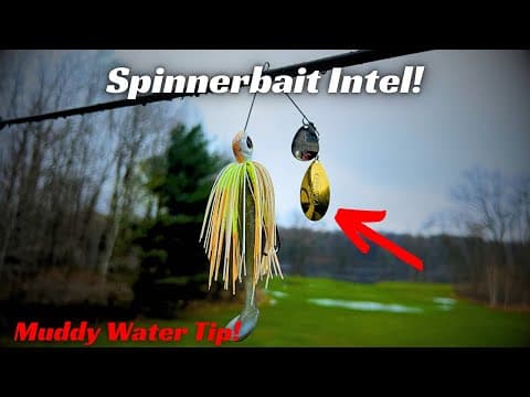 Spinnerbait Success in Muddy Water! Give this a try!